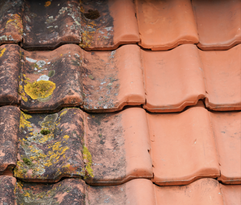 Réfection complète de toiture en tuiles — Toulouse (31)